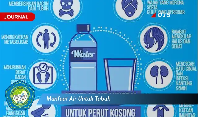 manfaat air untuk tubuh