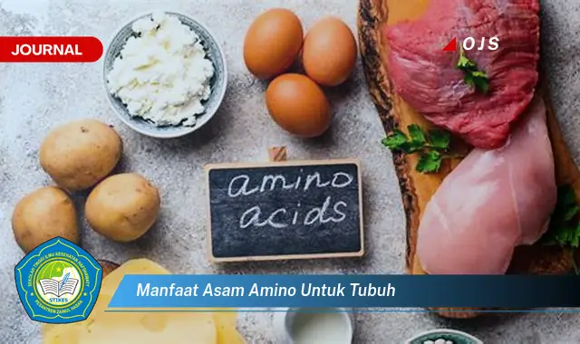 manfaat asam amino untuk tubuh manfaat asam amino untuk tubuh