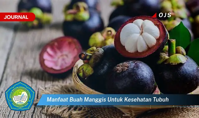 Temukan 6 Manfaat Buah Manggis untuk Kesehatan yang Bikin Kamu Penasaran - E-Journal