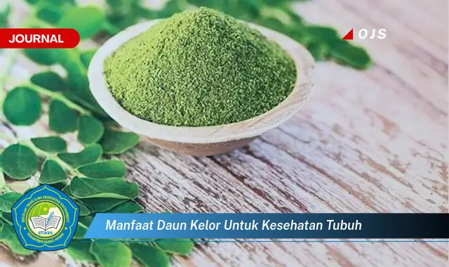 manfaat daun kelor untuk kesehatan tubuh