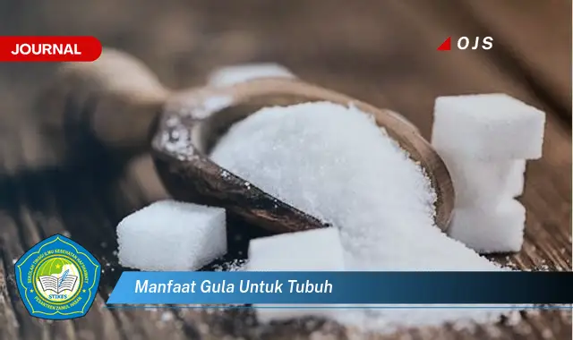 manfaat gula untuk tubuh