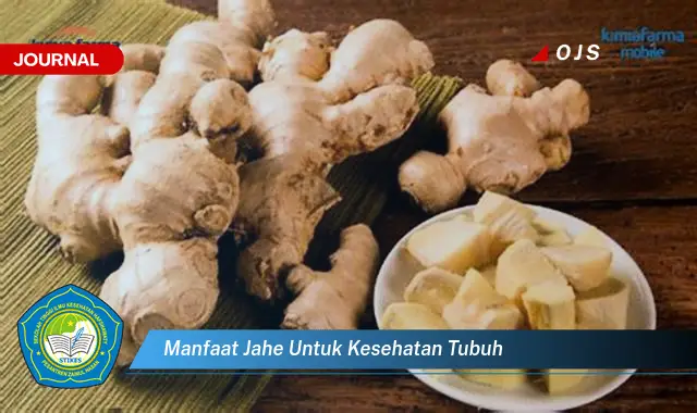 manfaat jahe untuk kesehatan tubuh