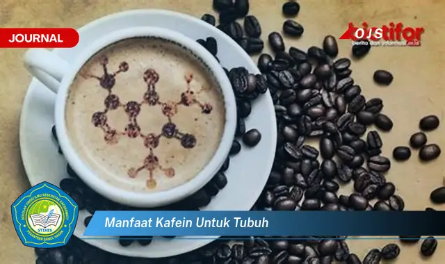 manfaat kafein untuk tubuh