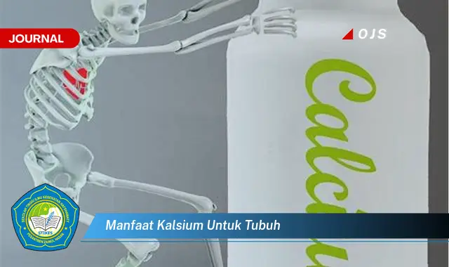 manfaat kalsium untuk tubuh manfaat kalsium untuk tubuh