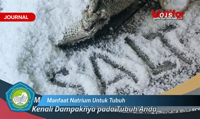 manfaat natrium untuk tubuh