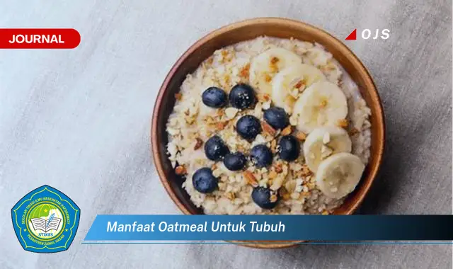 manfaat oatmeal untuk tubuh