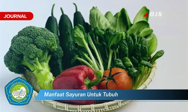 manfaat sayuran untuk tubuh manfaat sayuran untuk tubuh