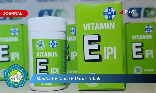 manfaat vitamin e untuk tubuh