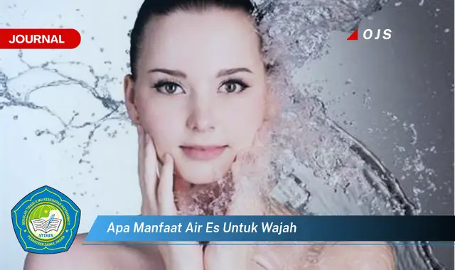 apa manfaat air es untuk wajah apa manfaat air es untuk wajah