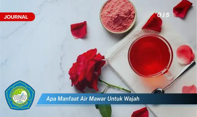 apa manfaat air mawar untuk wajah