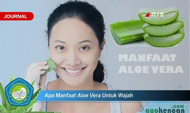 apa manfaat aloe vera untuk wajah