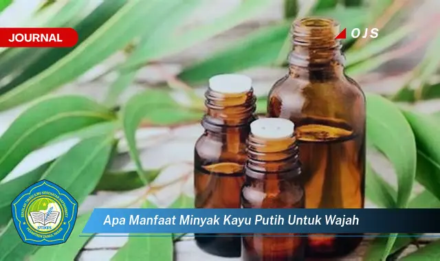 apa manfaat minyak kayu putih untuk wajah