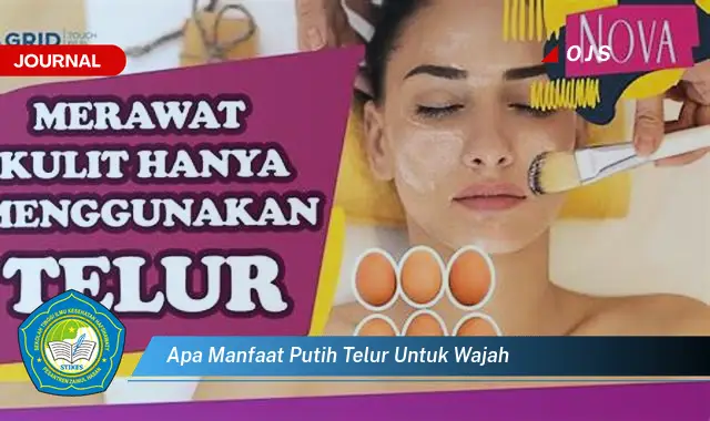 apa manfaat putih telur untuk wajah