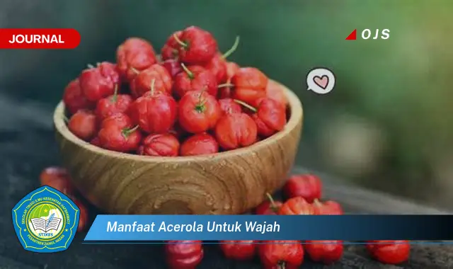 manfaat acerola untuk wajah