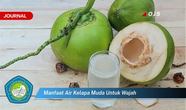 Ketahui 7 Manfaat Air Kelapa Muda untuk Kulit Wajah Cantikmu