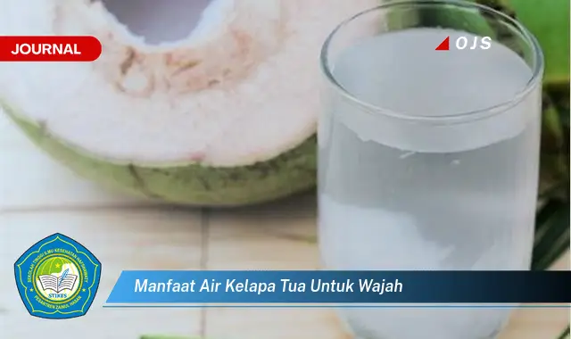 manfaat air kelapa tua untuk wajah