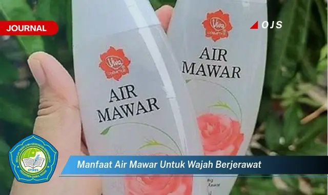 manfaat air mawar untuk wajah berjerawat