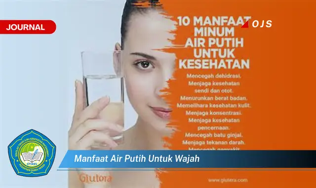 manfaat air putih untuk wajah