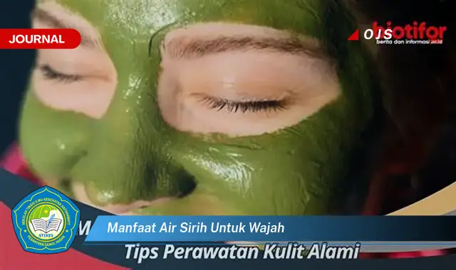 manfaat air sirih untuk wajah manfaat air sirih untuk wajah