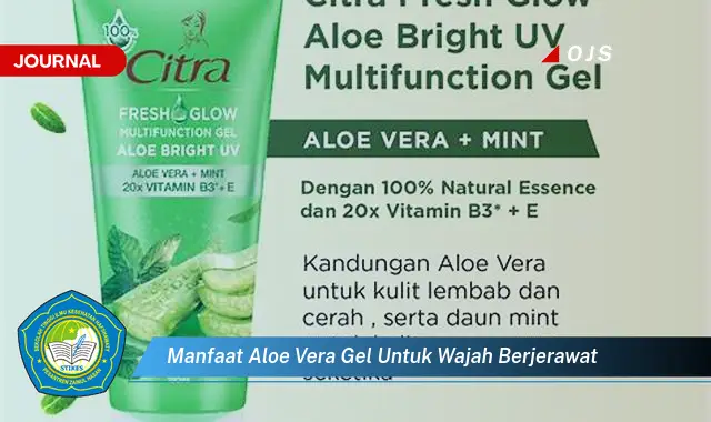 manfaat aloe vera gel untuk wajah berjerawat manfaat aloe vera gel untuk wajah berjerawat