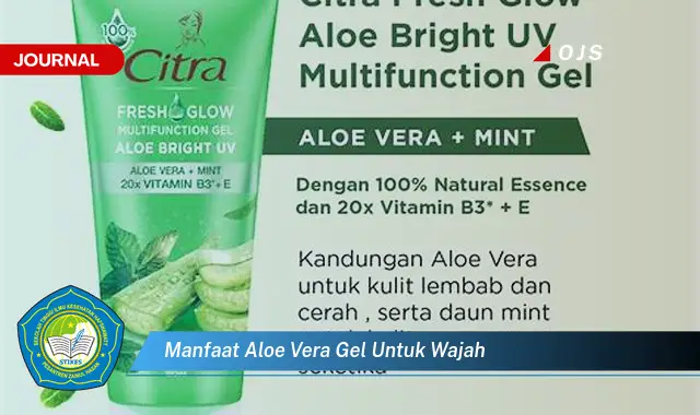 Intip 6 Manfaat Aloe Vera Gel untuk Wajah yang Bikin Kamu Penasaran - E-Journal