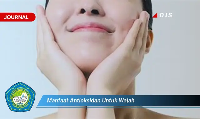 manfaat antioksidan untuk wajah