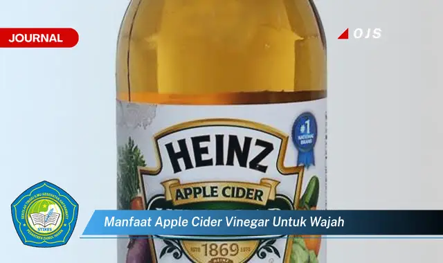 Intip 6 Manfaat Apple Cider Vinegar untuk Wajah yang Wajib Kamu Ketahui - E-Journal