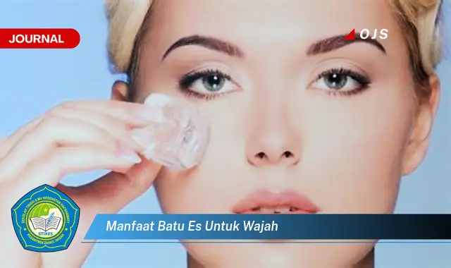 manfaat batu es untuk wajah manfaat batu es untuk wajah