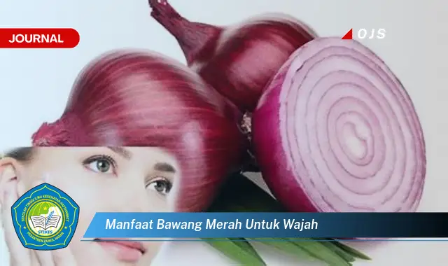 manfaat bawang merah untuk wajah