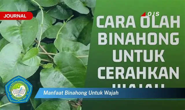 manfaat binahong untuk wajah