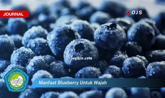 manfaat blueberry untuk wajah