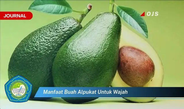 manfaat buah alpukat untuk wajah