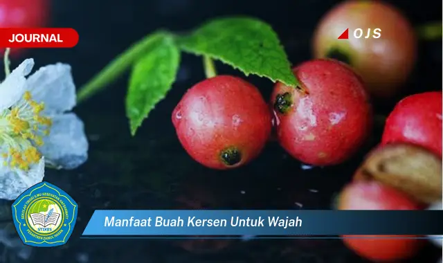 manfaat buah kersen untuk wajah