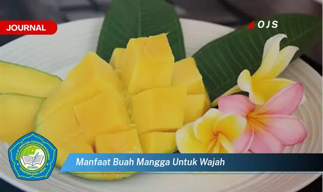 manfaat buah mangga untuk wajah