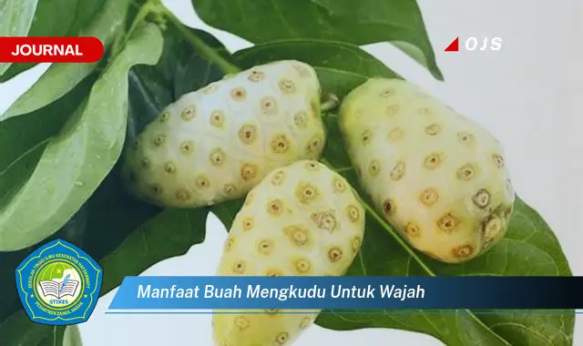 manfaat buah mengkudu untuk wajah