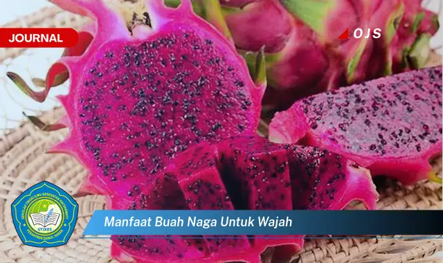 manfaat buah naga untuk wajah