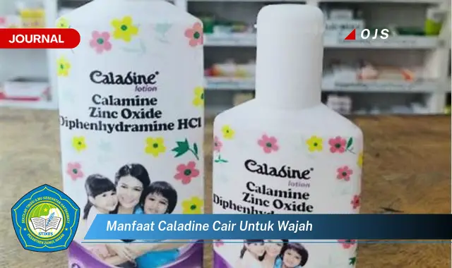 manfaat caladine cair untuk wajah