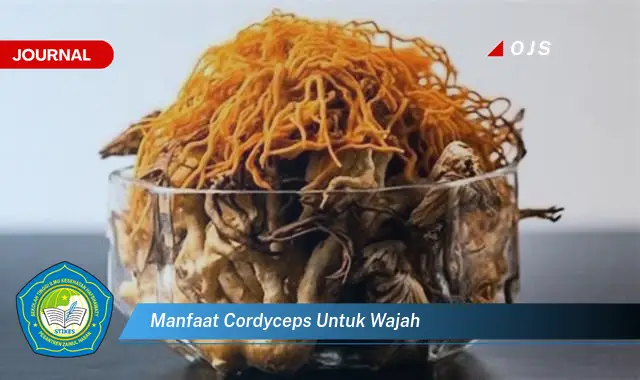 Ketahui 10 Manfaat Cordyceps untuk Wajah, Kulit Cerah, Kencang, dan Awet Muda