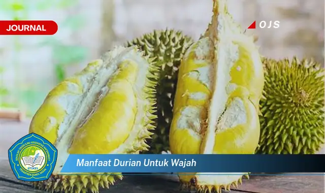 manfaat durian untuk wajah manfaat durian untuk wajah