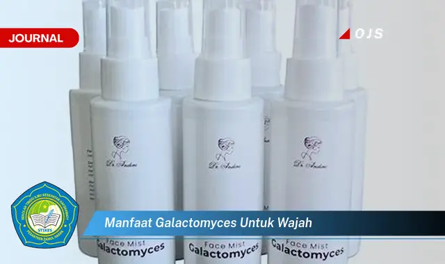 manfaat galactomyces untuk wajah