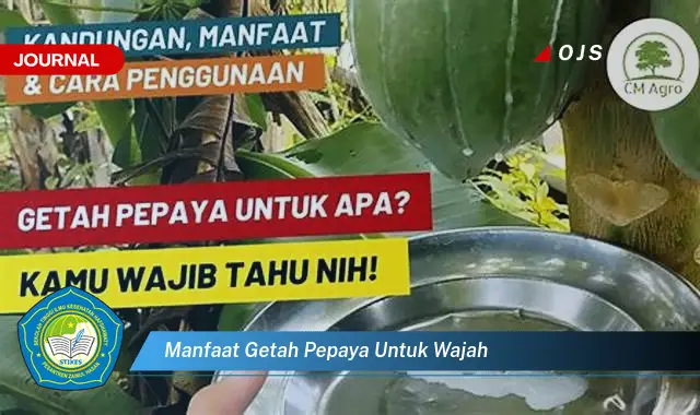 Ketahui 8 Manfaat Getah Pepaya untuk Wajah, Mengatasi Jerawat dan Mencerahkan Kulit