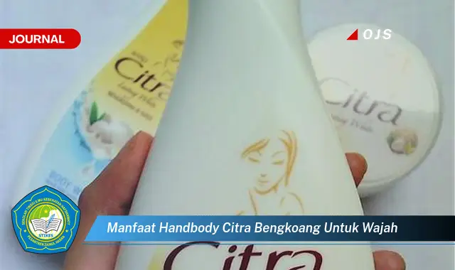 manfaat handbody citra bengkoang untuk wajah manfaat handbody citra bengkoang untuk wajah