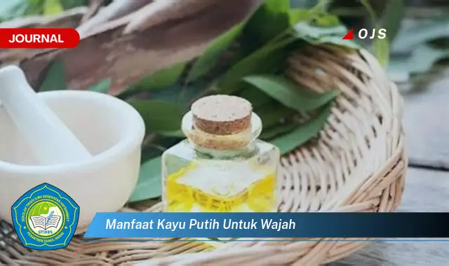 manfaat kayu putih untuk wajah