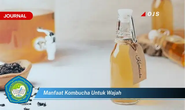 manfaat kombucha untuk wajah