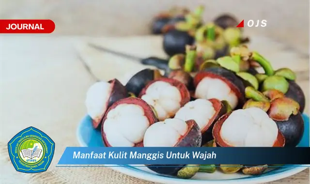 manfaat kulit manggis untuk wajah