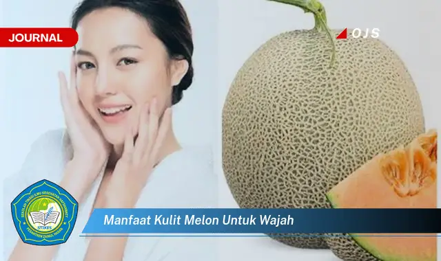 manfaat kulit melon untuk wajah