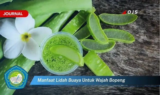 manfaat lidah buaya untuk wajah bopeng