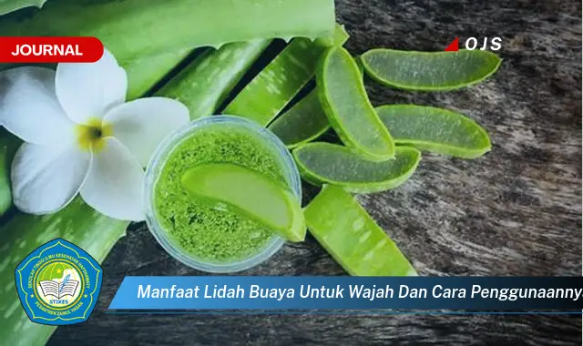 Ketahui 10 Manfaat Lidah Buaya untuk Wajah, Tips dan Cara Penggunaan untuk Kulit Sehat dan Bercahaya