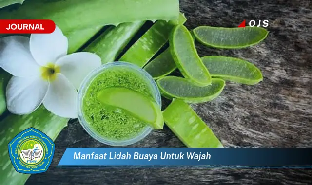 8 Manfaat Lidah Buaya Untuk Wajah yang Jarang Diketahui