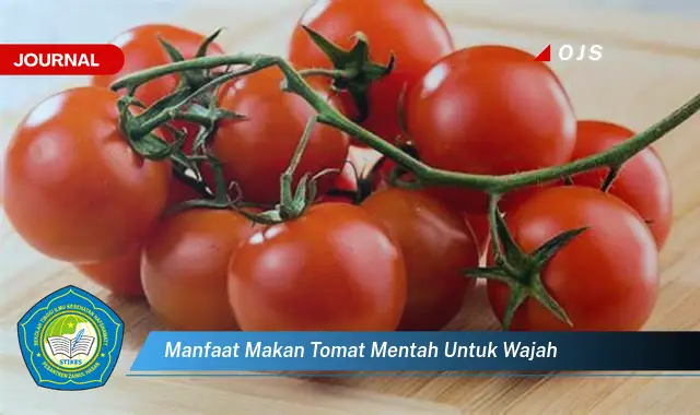 manfaat makan tomat mentah untuk wajah manfaat makan tomat mentah untuk wajah